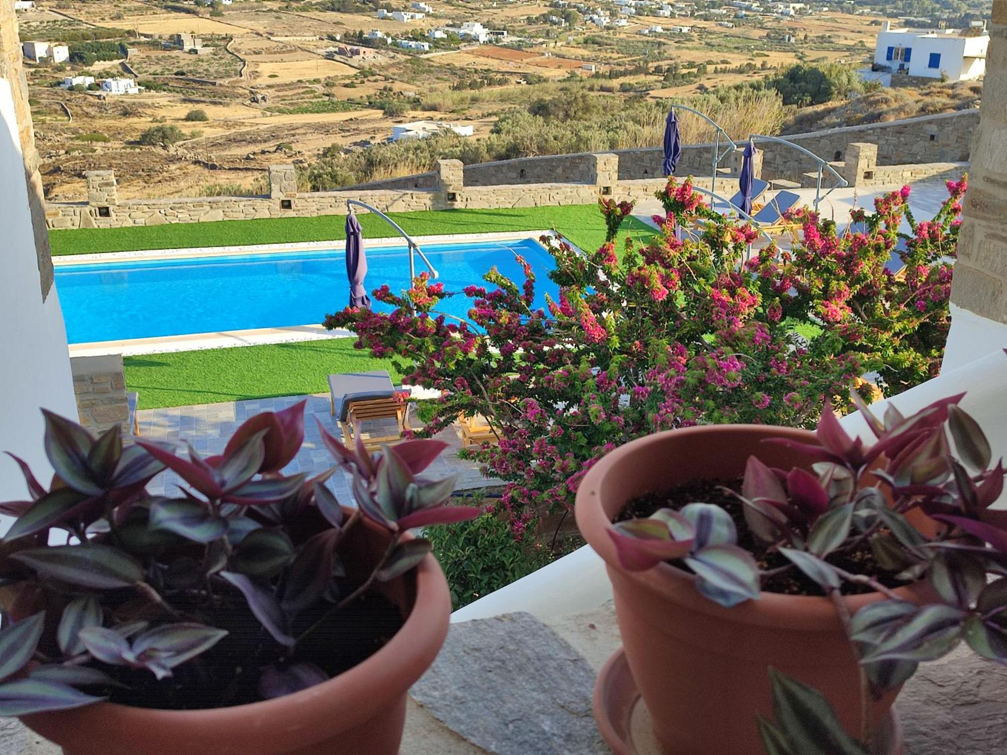 Pleiades Paros Family Apartments Exteriér fotografie